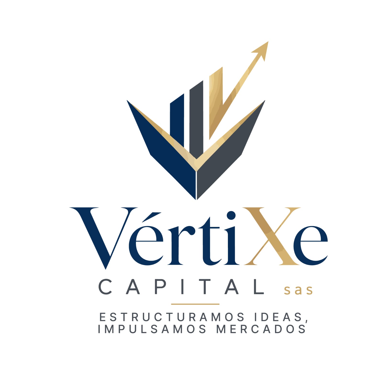 VRTIXE CAPITAL SAS